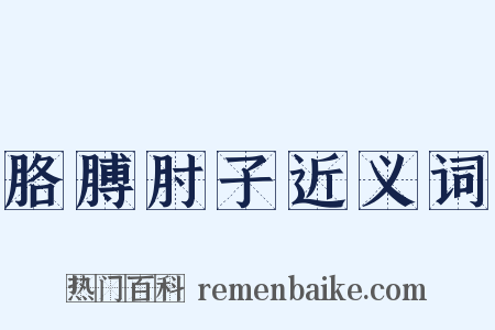 胳膊肘子近义词是什么意思的图片